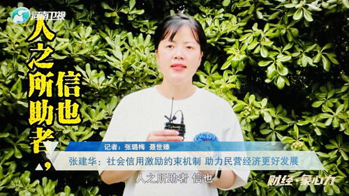 郑州大学张建华教授 郑州大学张建华教授在河南卫视继续解读中共中央 国务院关于促进民营经济发展壮大的意见