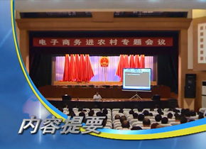 在新安作报告